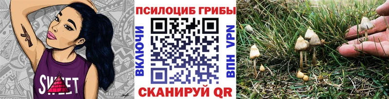 Псилоцибиновые грибы мицелий  Альметьевск 