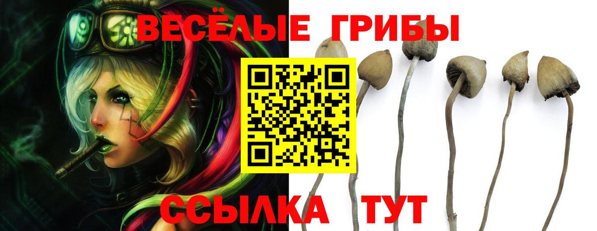 Альметьевск  Галлюциногенные грибы MAGIC MUSHROOMS  Вход с VPN 